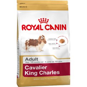 KARMA SUCHA ROYAL CANIN SHN BREED CAVALIER KING CHARLES ADULT 1,5 KG